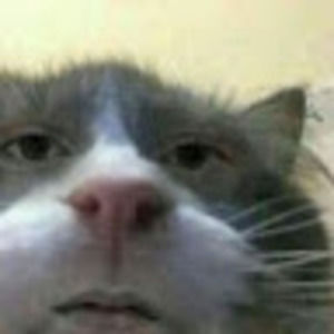 Meet your Posher, Shane erwin